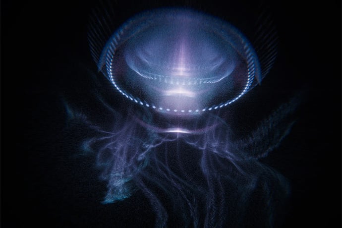 Shedding Light on Untouchable Sea Creatures