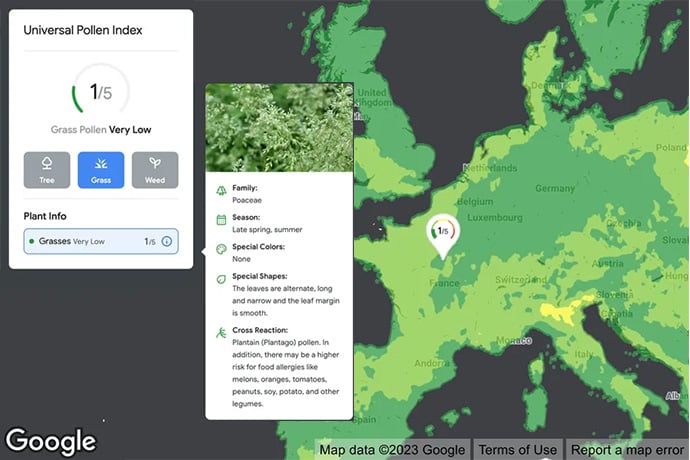 Google Adds Pollen, air quality, and solar to maps