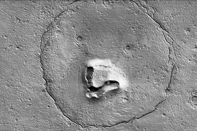 A Bear on Mars?