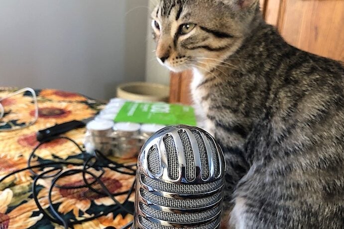 Pardon Me, Do You Speak Labradoodle?